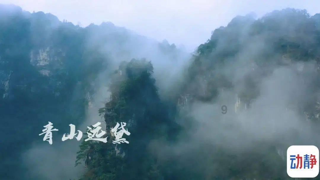 吃水果的蛇