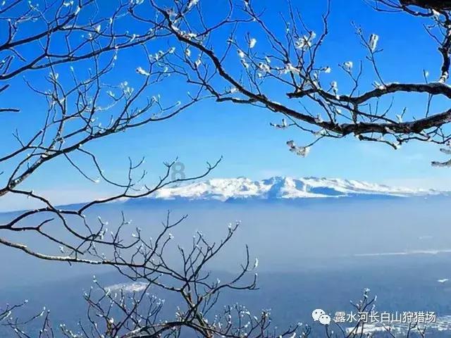 探索