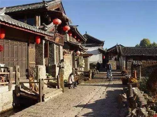 逃离金刚鹦鹉森林